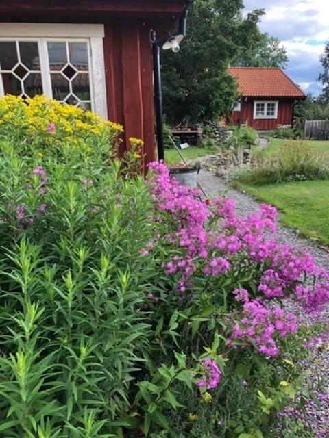 Tystberga Logi Bed and Breakfast Eksteriør billede